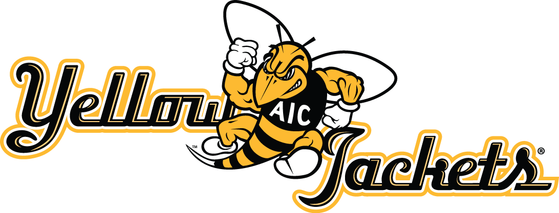 aic yellow jackets 2009-pres alternate logo v3 diy iron on heat transfer